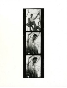 Michael Halsband, Jean-Michel Basquiat 'get me in this tree'